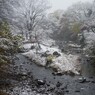 PENTAX 645D初撮り2