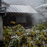 PENTAX 645D初撮り4