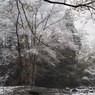 PENTAX 645D初撮り5