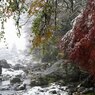 PENTAX 645D初撮り6