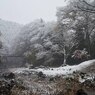 PENTAX 645D初撮り7