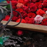 花手水舎