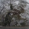 PENTAX 645D初撮り10