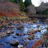 水と緑の杜公園