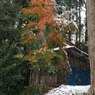PENTAX 645D初撮り15