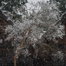 PENTAX 645D初撮り20