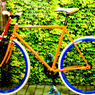 CYCLE