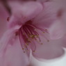 IMG_0401