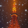 雪降る東京タワー