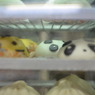 虎まん･･だったかな