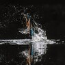 Splash