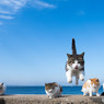 おにゃにゃ～～