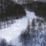 厳寒の上高地07