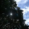 考えゴト①　絞り