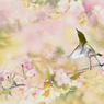春の屏風