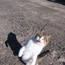 ふぬぬ・・・