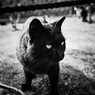 聖福寺01