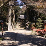間々田八幡宮参道