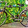 CYCLE