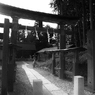 白鬚神社03