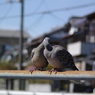 もうすぐ春②　ゲロちゅー