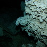 P9090471