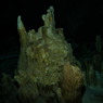 P9090519