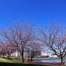 春のうららの隅田川
