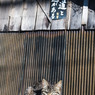 勉強しなくちゃ