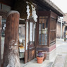 白壁の街４　酒屋の杉玉