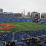横浜スタジアムのオープン戦