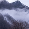 霧の寒い朝