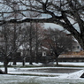 写真句：春の雪２：NTW319