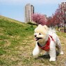 私も撮ってよ～ⅱ