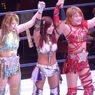 レッドピンパーネルの正体がアベヤコブ