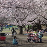 平塚総合公園