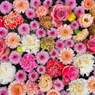 4月花手水舎