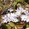 DSCN3185