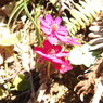 DSCN3188