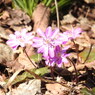 DSCN3189