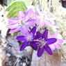 DSCN3197