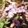 DSCN3198