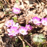 DSCN3202