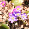 DSCN3203