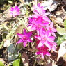 DSCN3205