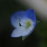 DT30ｍｍF2.8　MACRO