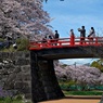 2022年桜まつり③