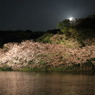 月夜なう