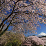 富士と桜