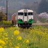 小湊鉄道の春！⑤